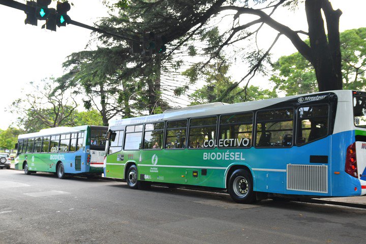 Colectivos a biodiÃ©sel.